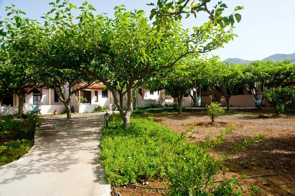 Dolphin Apartments Frangokastello Buitenkant foto