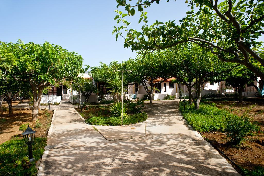 Dolphin Apartments Frangokastello Buitenkant foto